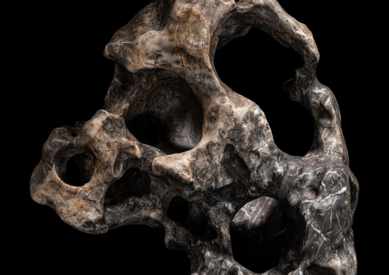 A Chinese Scholar's Rock