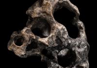 A Chinese Scholar's Rock