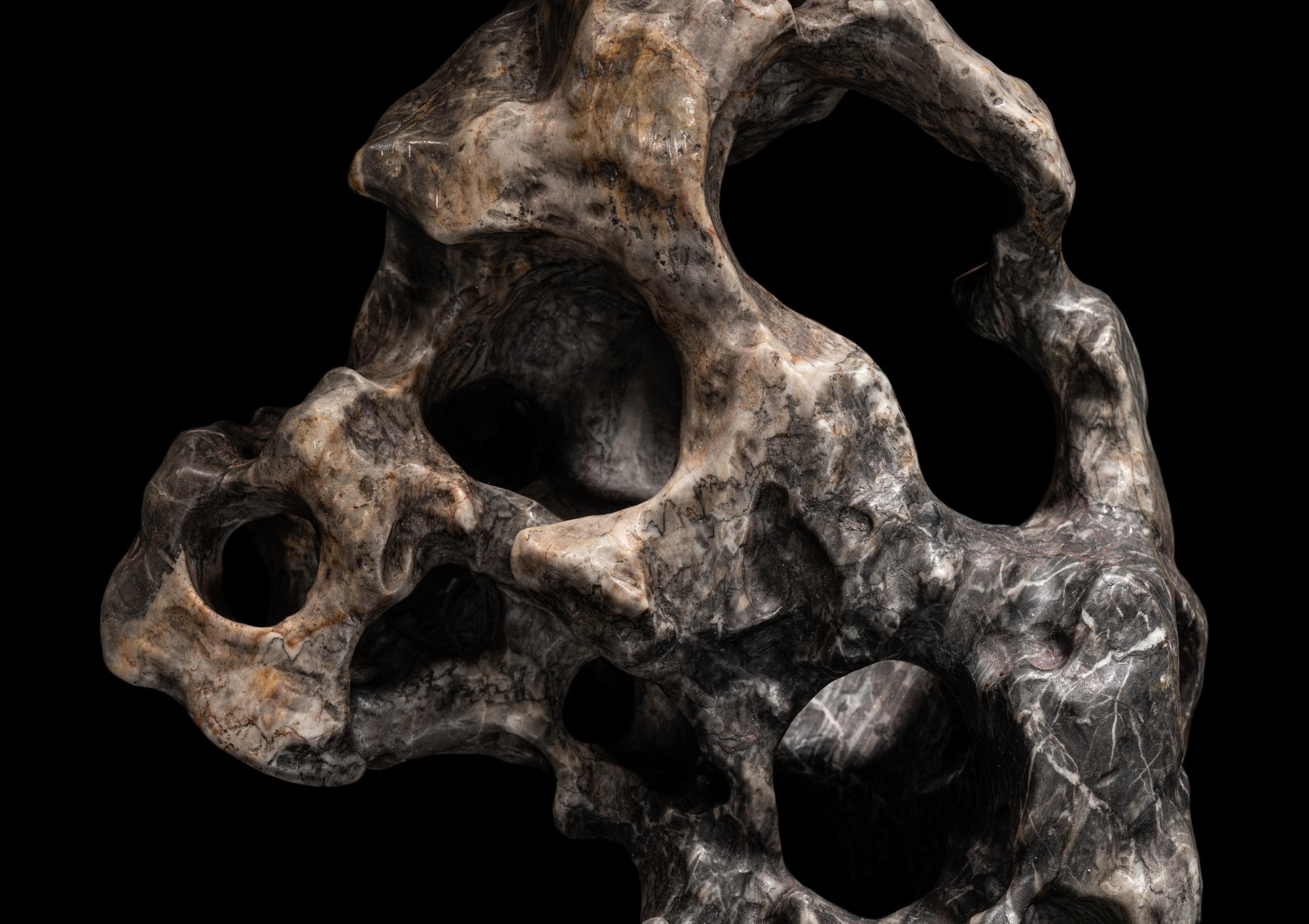 A Chinese Scholar's Rock