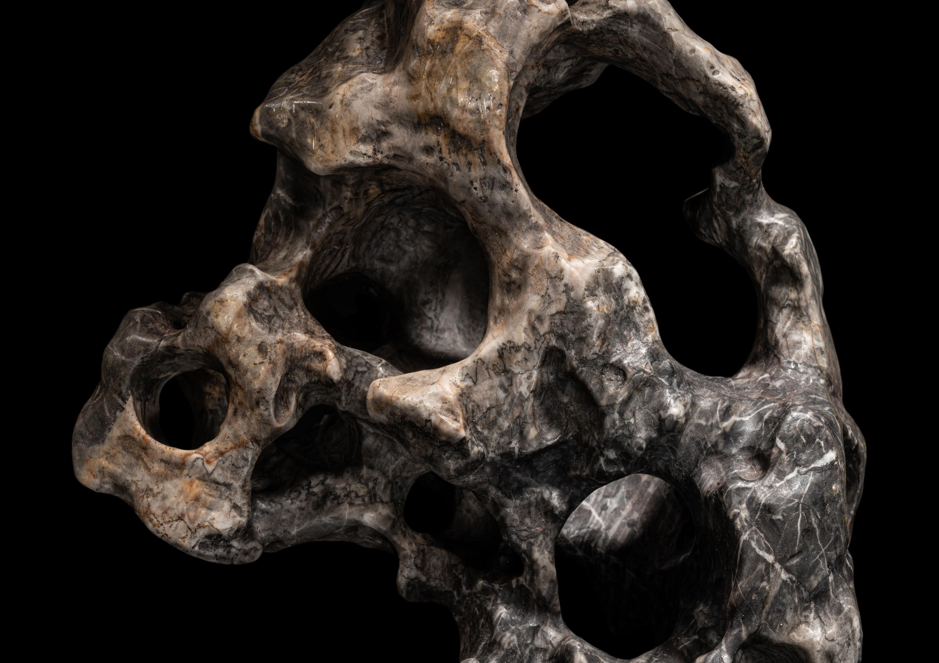 A Chinese Scholar's Rock