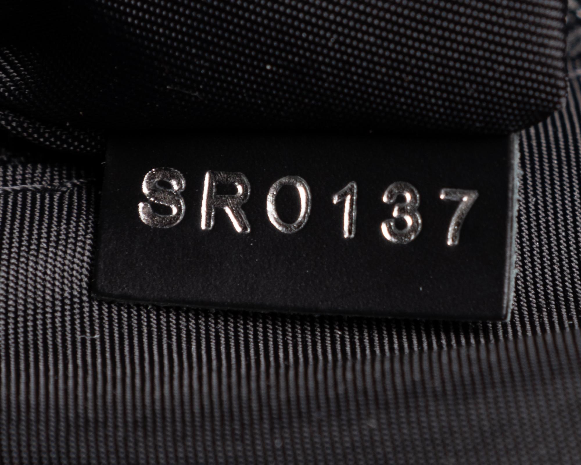 Louis Vuitton Néo Éole Damier Graphite Coated Canvas Rolling Bag with Travel Bag, 2017-2018