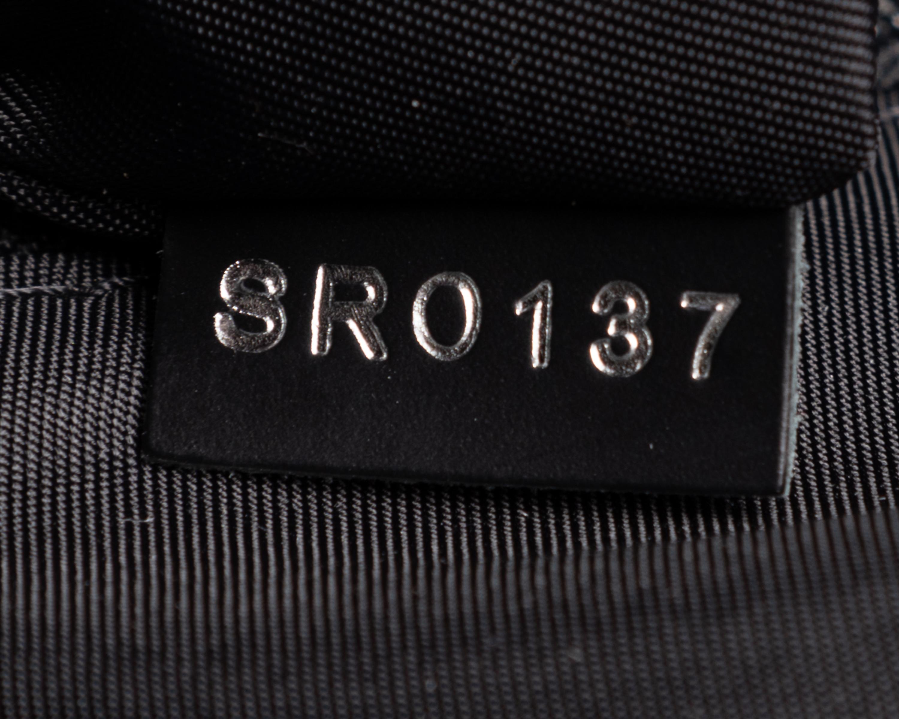 Louis Vuitton Néo Éole Damier Graphite Coated Canvas Rolling Bag with Travel Bag, 2017-2018