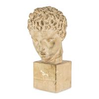 A Cast Composition Head of a Youth