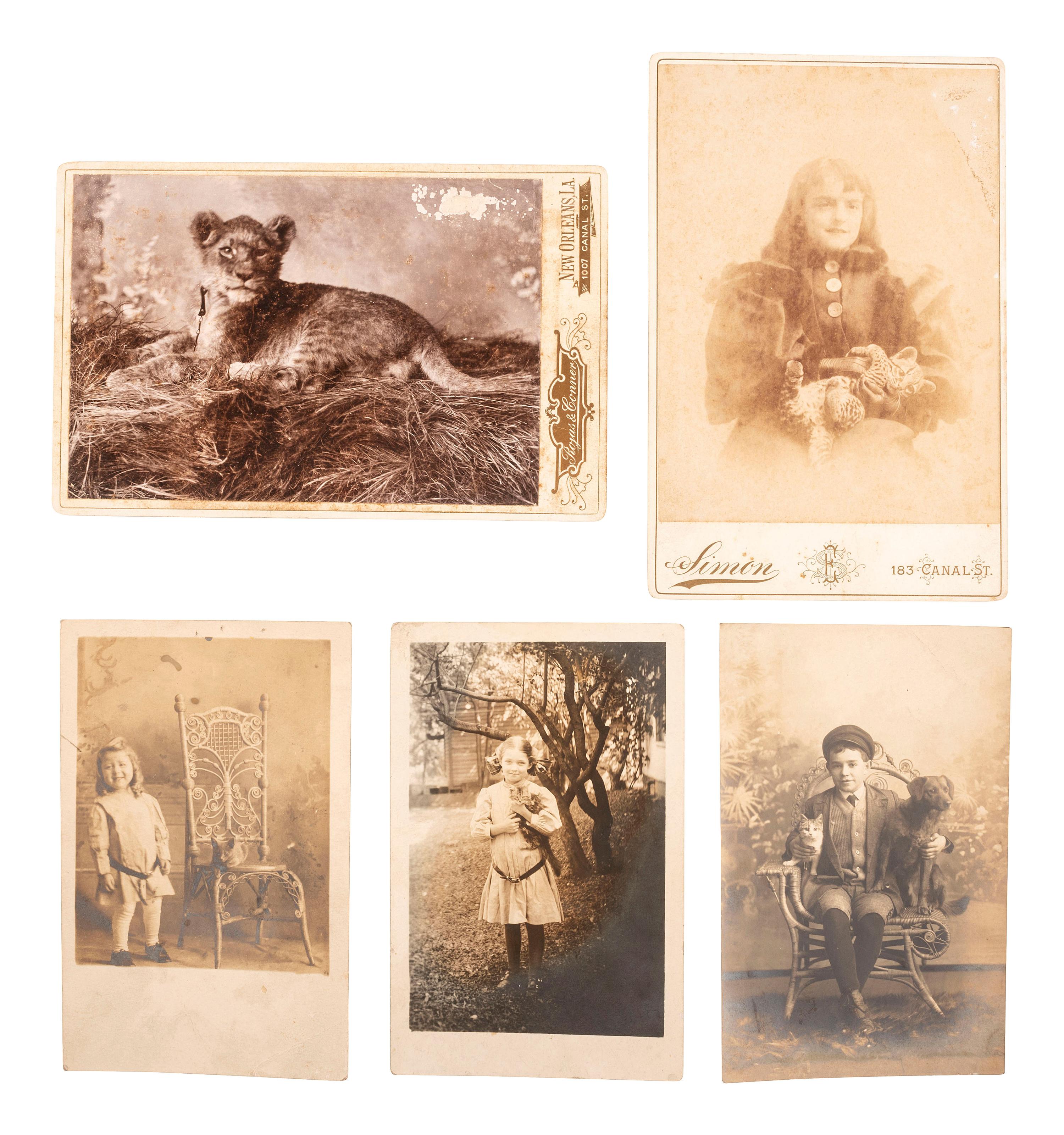 [EARLY PHOTOGRAPHY]. A large group of approx. 50 photographs, including tintypes and albumen photographs.