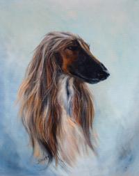 Four Works of Art depicting Afghan Hounds Largest: 17 3/4 x 24 inches.