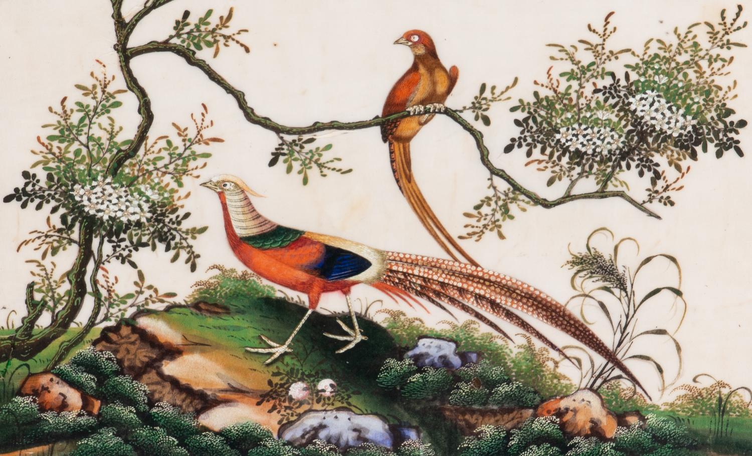 A Set of Twelve Chinese Export Watercolor and Pith Paintings of Exotic Birds
