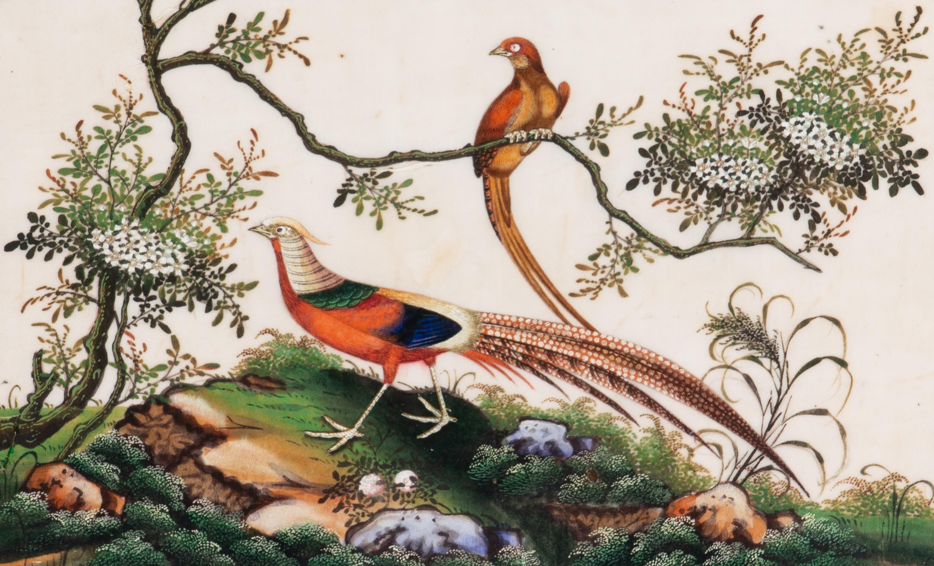 A Set of Twelve Chinese Export Watercolor and Pith Paintings of Exotic Birds