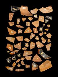 61 Attic Black-Figured Vase Fragments