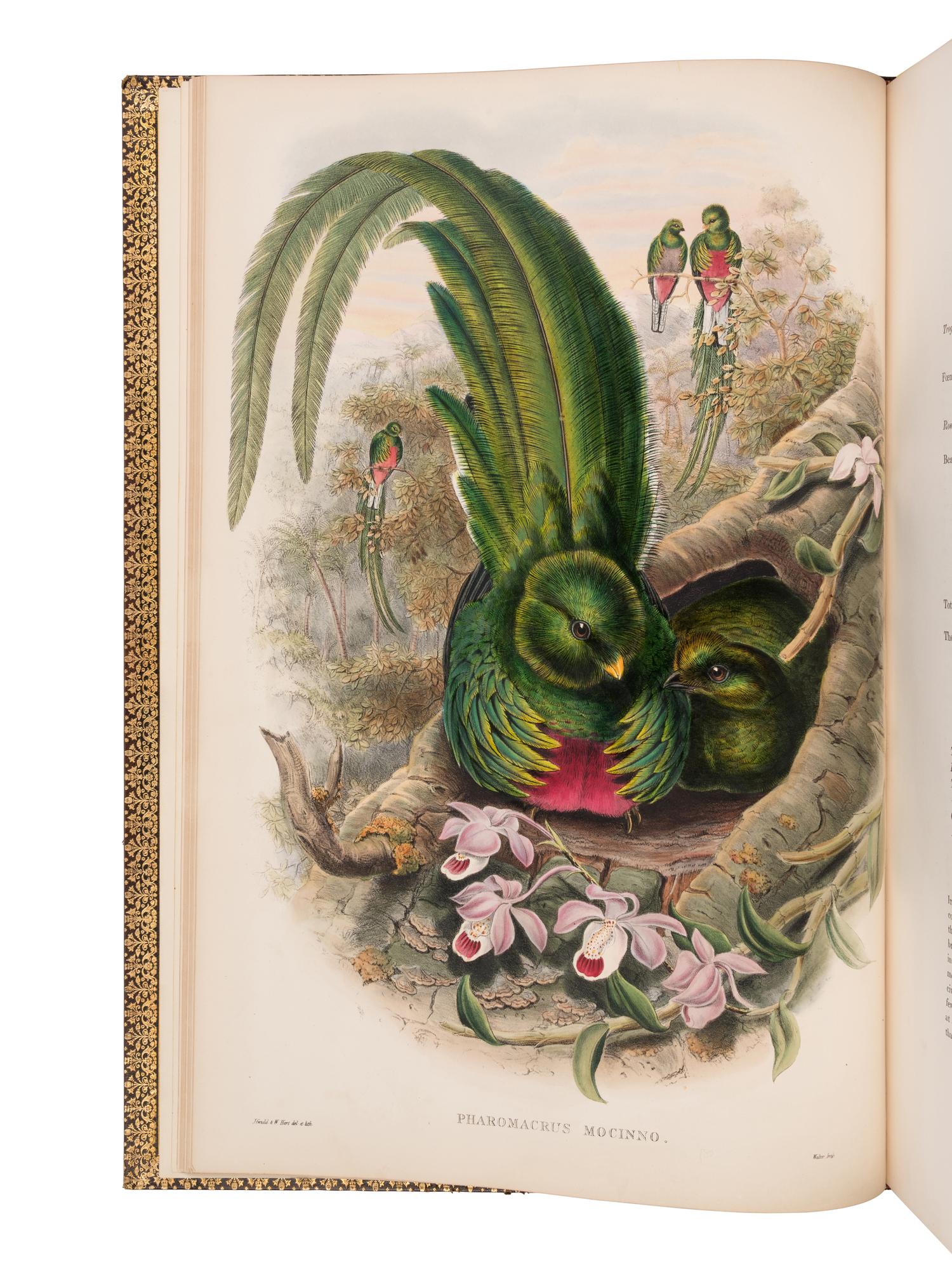 [NATURAL HISTORY]. GOULD, John (1804-1881). A Monograph of the Trogonidae, or Family of Trogons . London: Taylor and Francis for the Author, [1858-] 1875.
