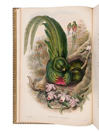 [NATURAL HISTORY]. GOULD, John (1804-1881). A Monograph of the Trogonidae, or Family of Trogons . London: Taylor and Francis for the Author, [1858-] 1875.