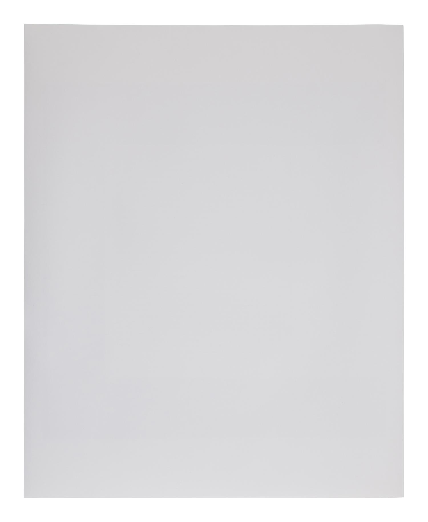 Notes and Observations (Page 41) (from BAM Photography Portfolio IV ), 2009