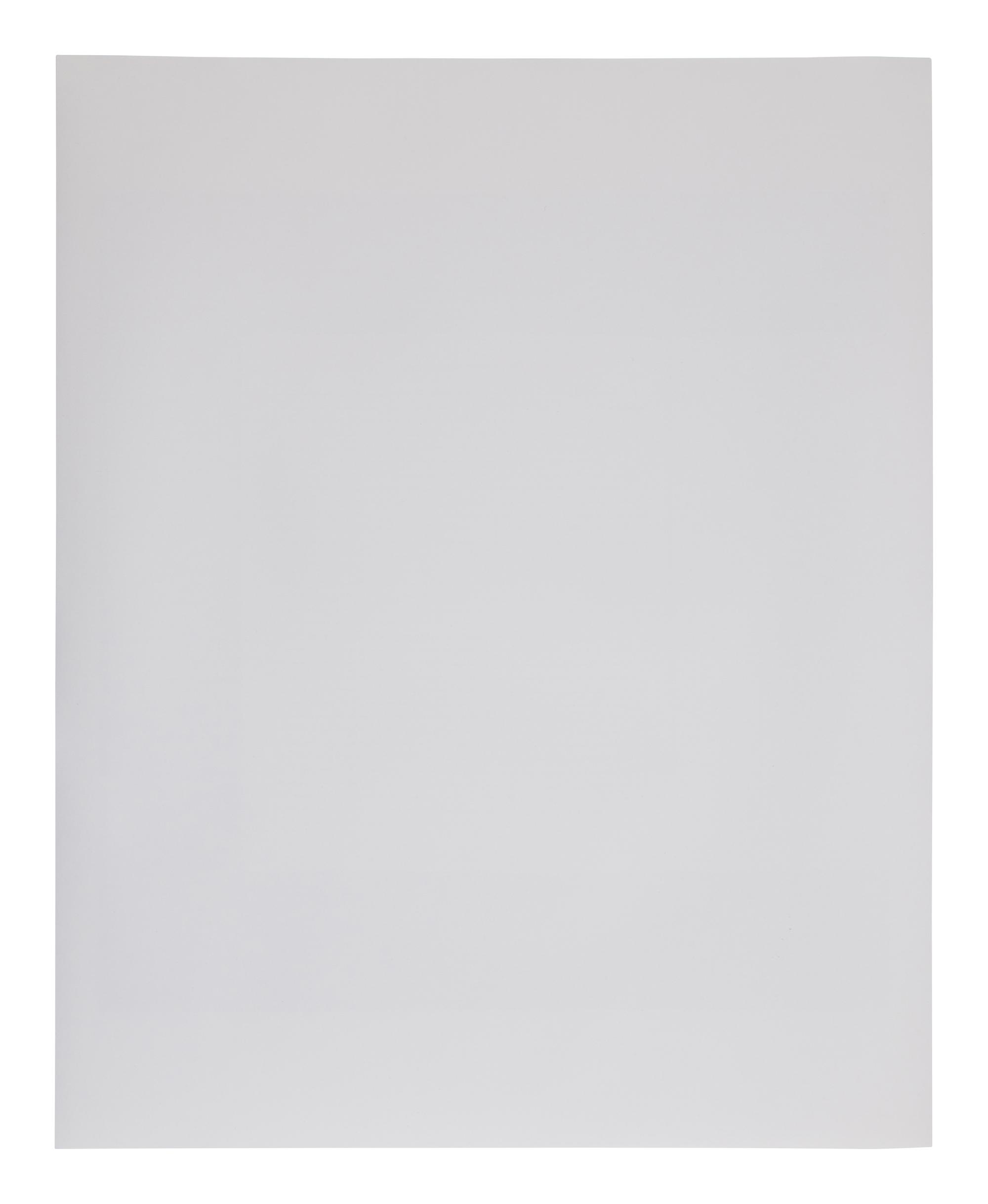 Notes and Observations (Page 41) (from BAM Photography Portfolio IV ), 2009