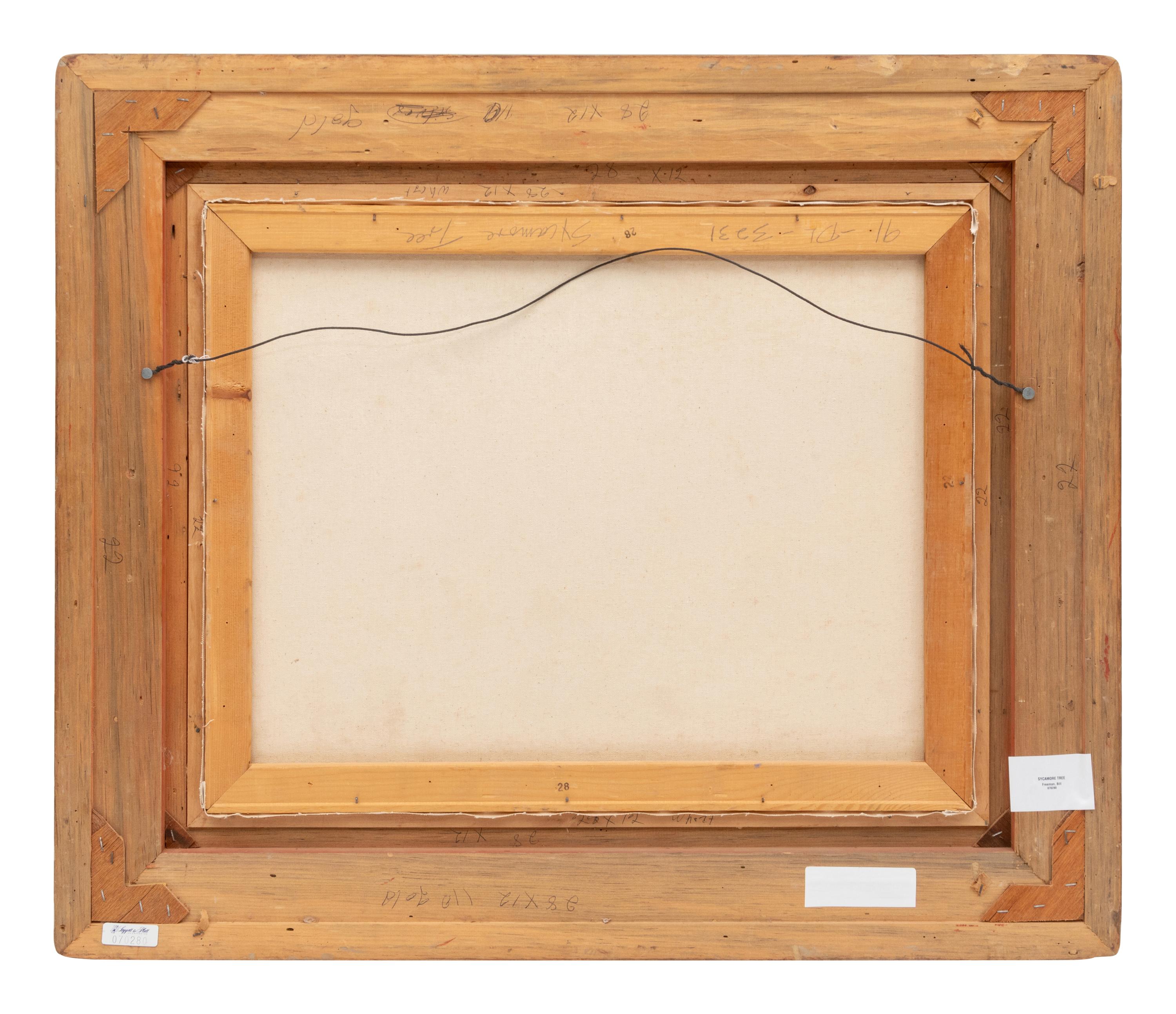 Sycamore Tree