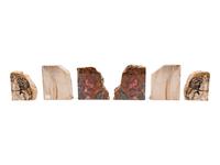 Three Pairs of Petrified Wood Bookends