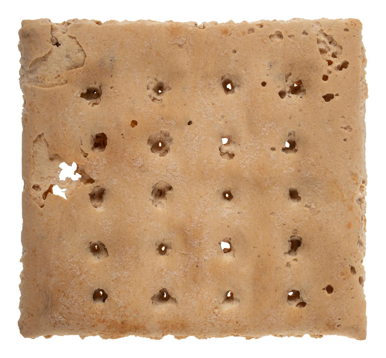 [CIVIL WAR]. A piece of hardtack.