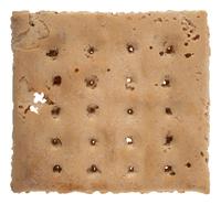 [CIVIL WAR]. A piece of hardtack.