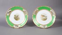 A Pair of Spode Ornithological Plates, Diameter 9 7/8 inches.