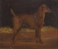 British School (19th Century) - Portrait of a Dog in Profile