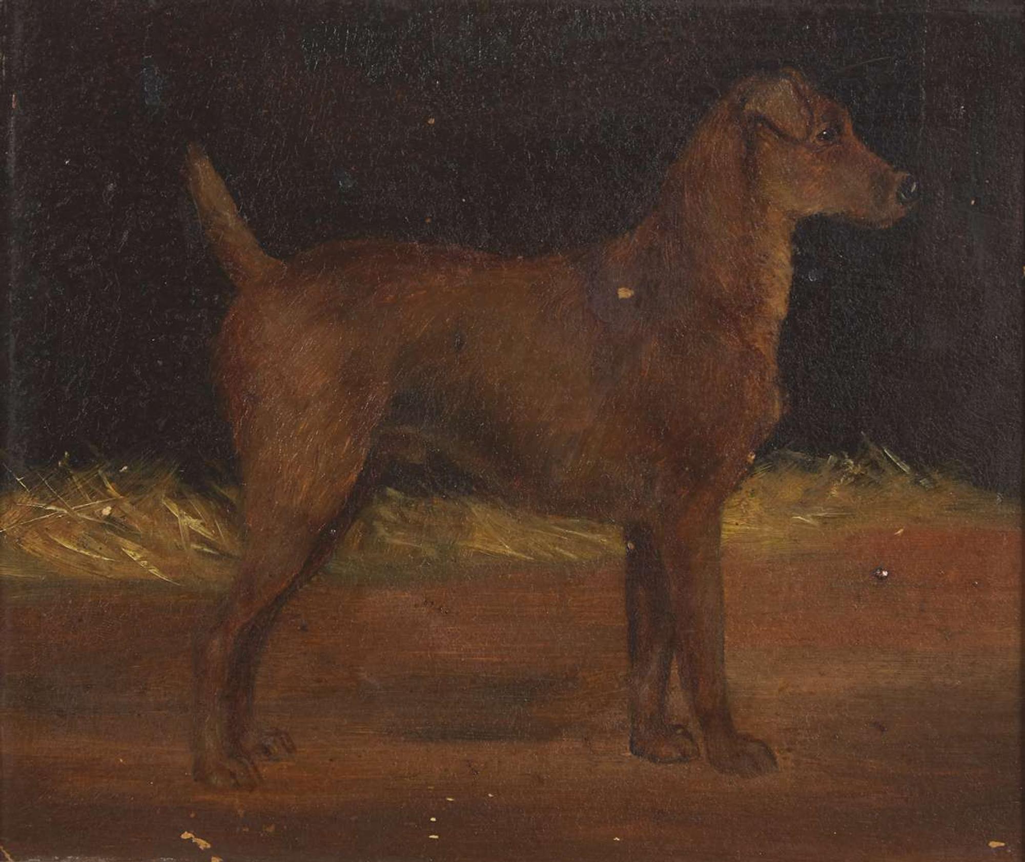 British School (19th Century) - Portrait of a Dog in Profile