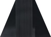 Bild 12/Fur/S,W,B # 4, 1979 (diptych)