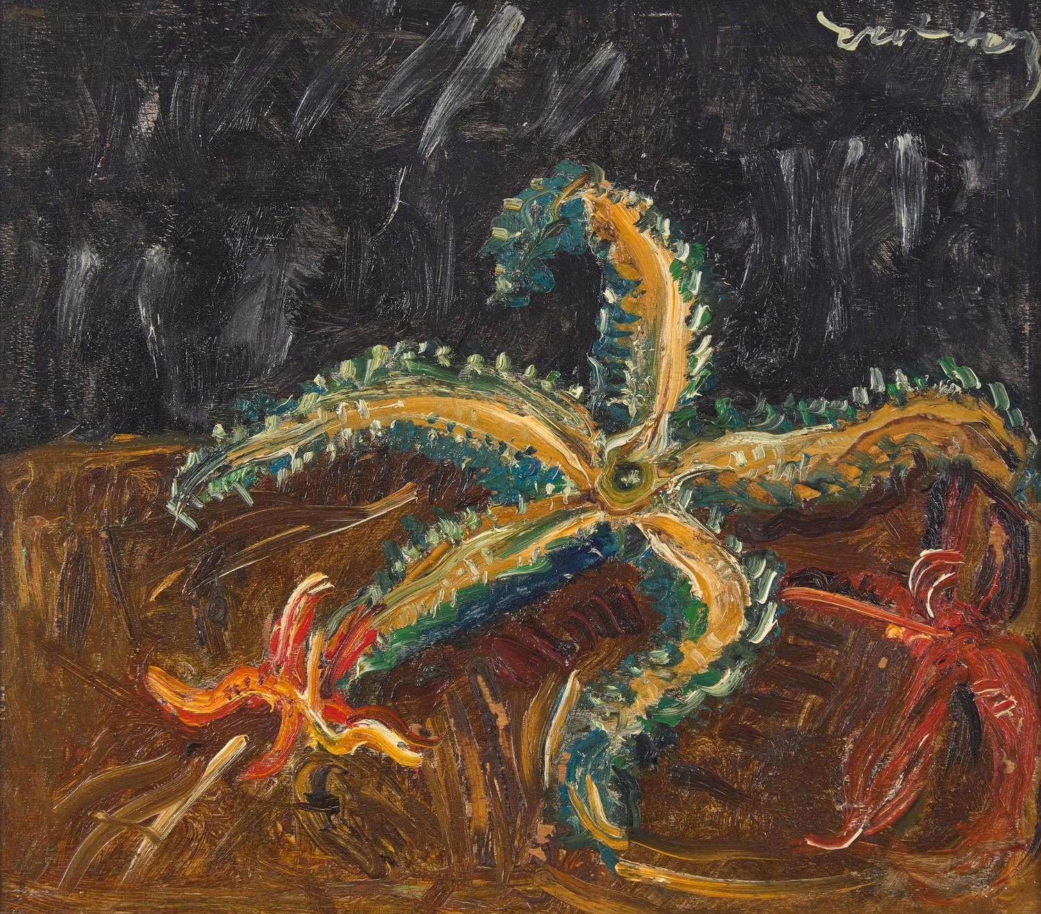 L' É toile de Mer