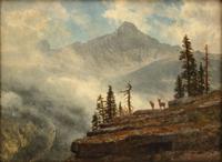 California Mountain Crag