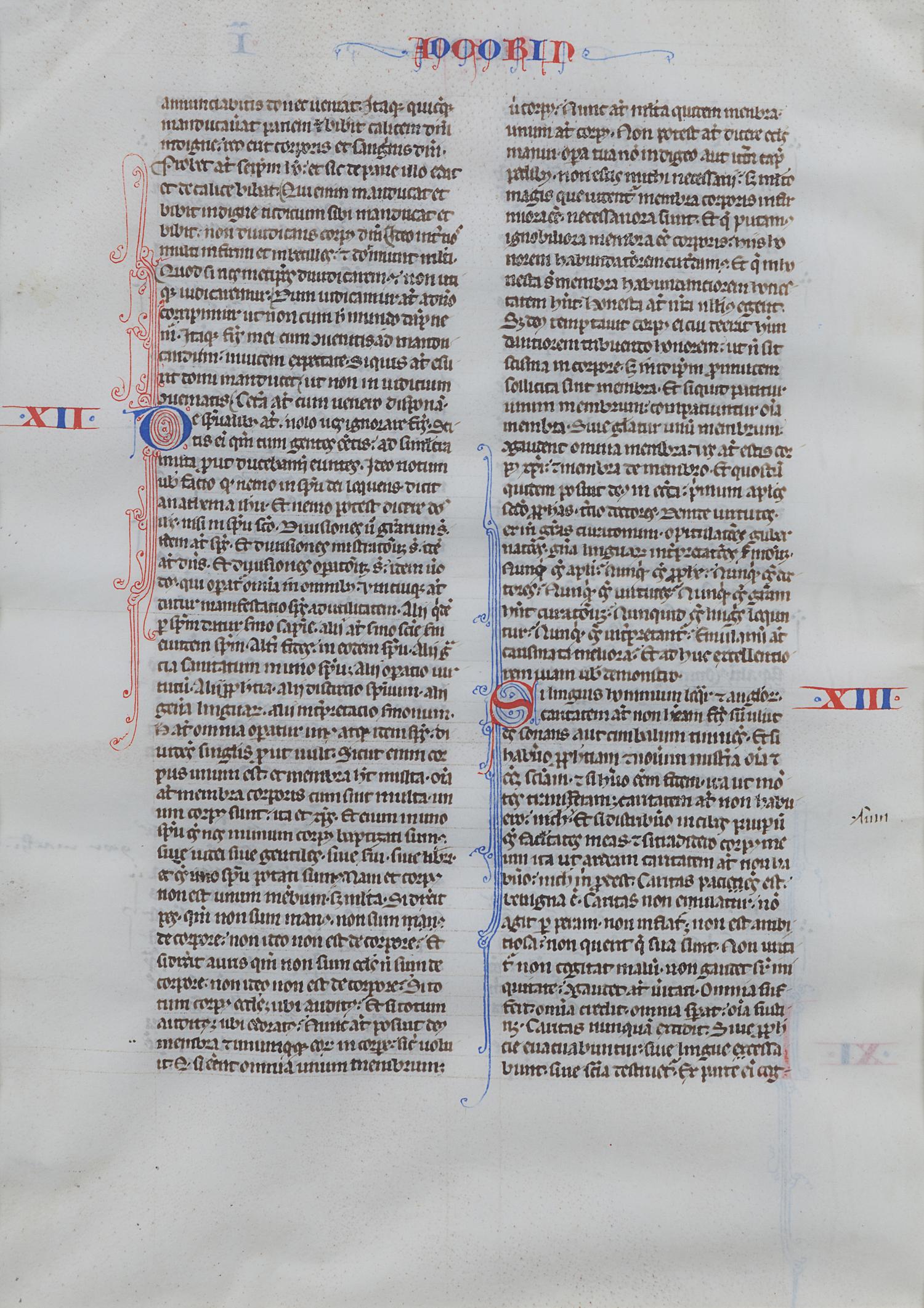 [BIBLES - MANUSCRIPT LEAVES]. BIBLE, in Latin. 3 leaves. [France (Paris?), 13th century].
