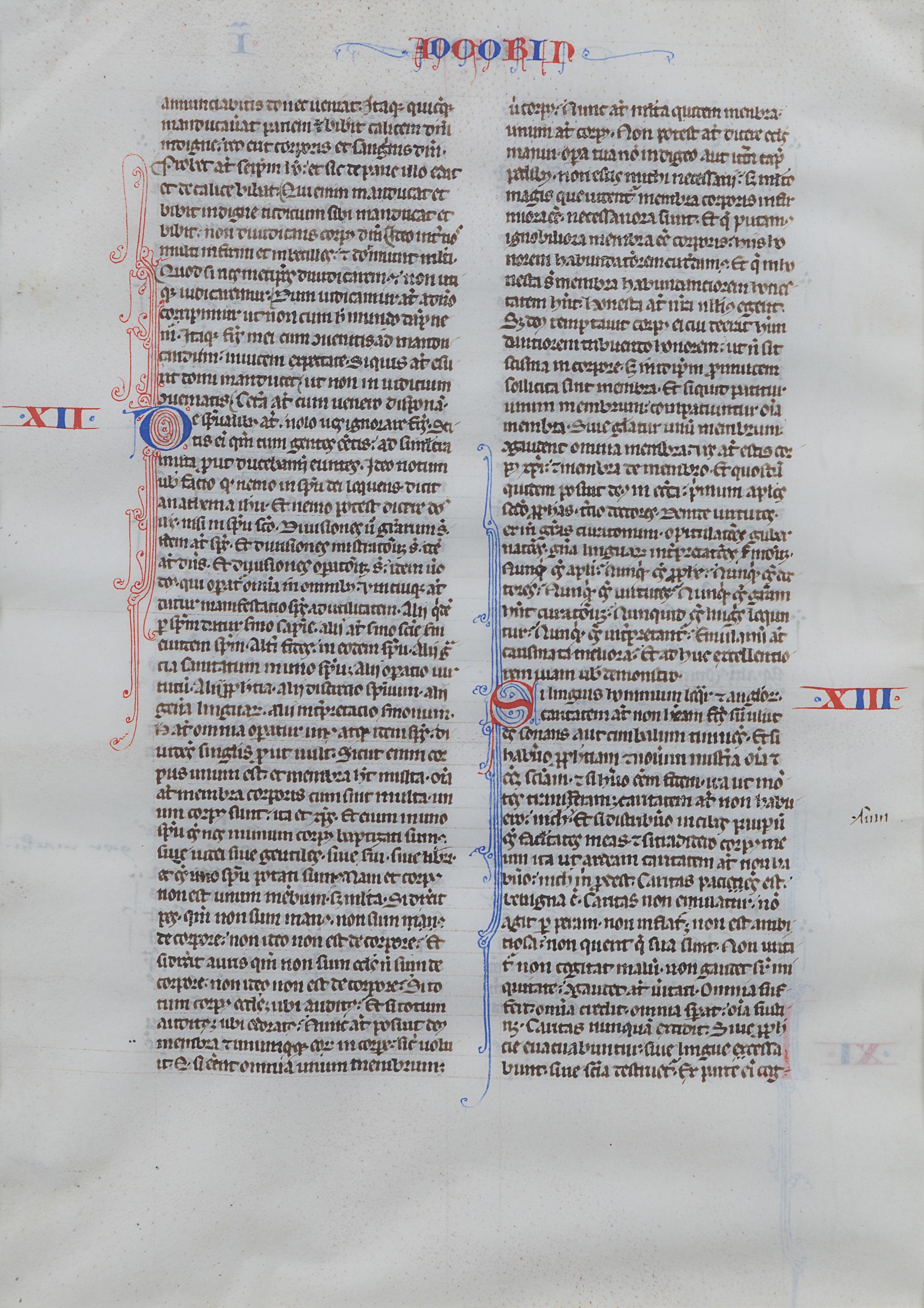 [BIBLES - MANUSCRIPT LEAVES]. BIBLE, in Latin. 3 leaves. [France (Paris?), 13th century].