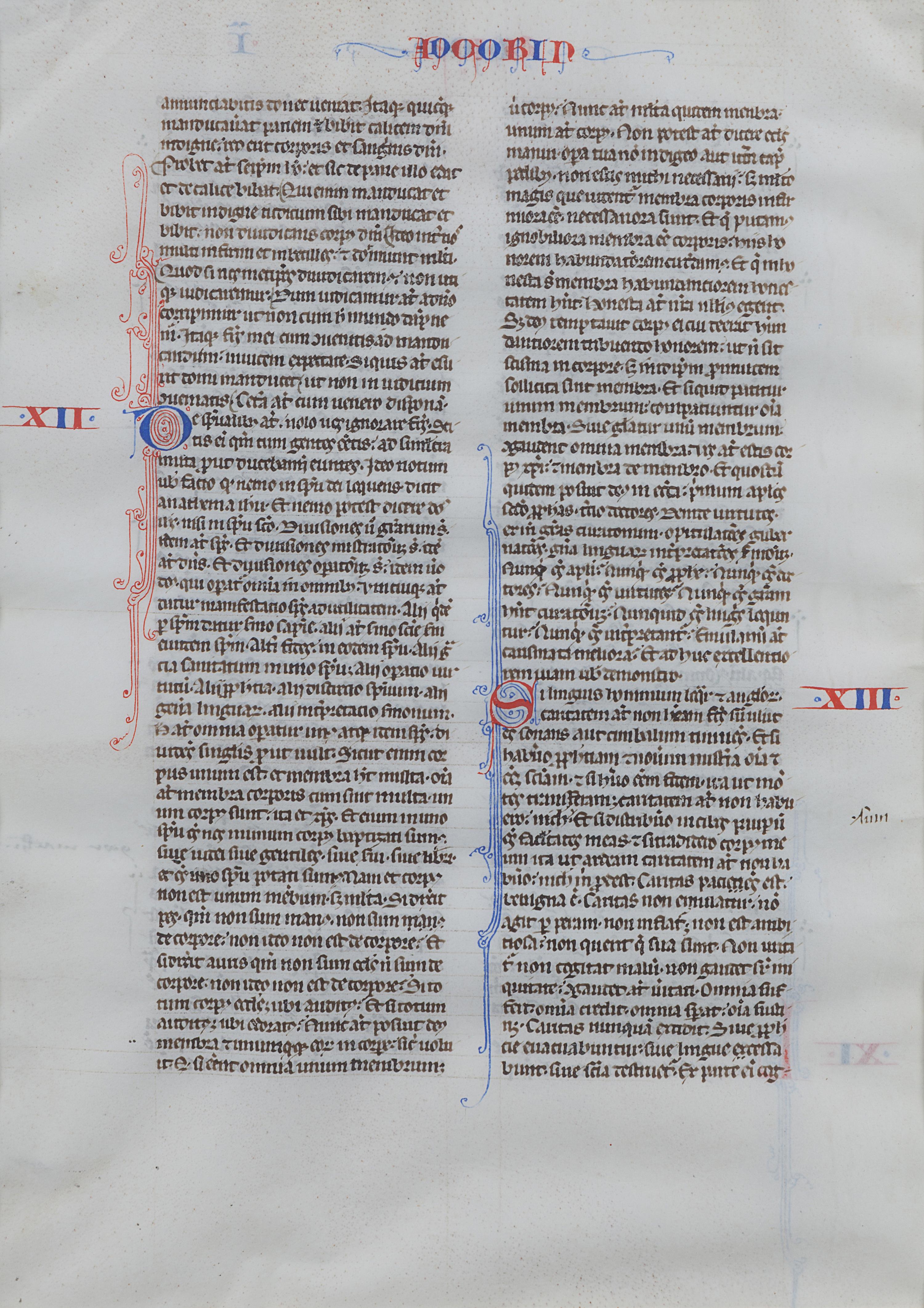[BIBLES - MANUSCRIPT LEAVES]. BIBLE, in Latin. 3 leaves. [France (Paris?), 13th century].