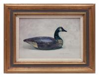 Canada Goose Decoy