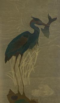 Great Blue Heron , number 4/12