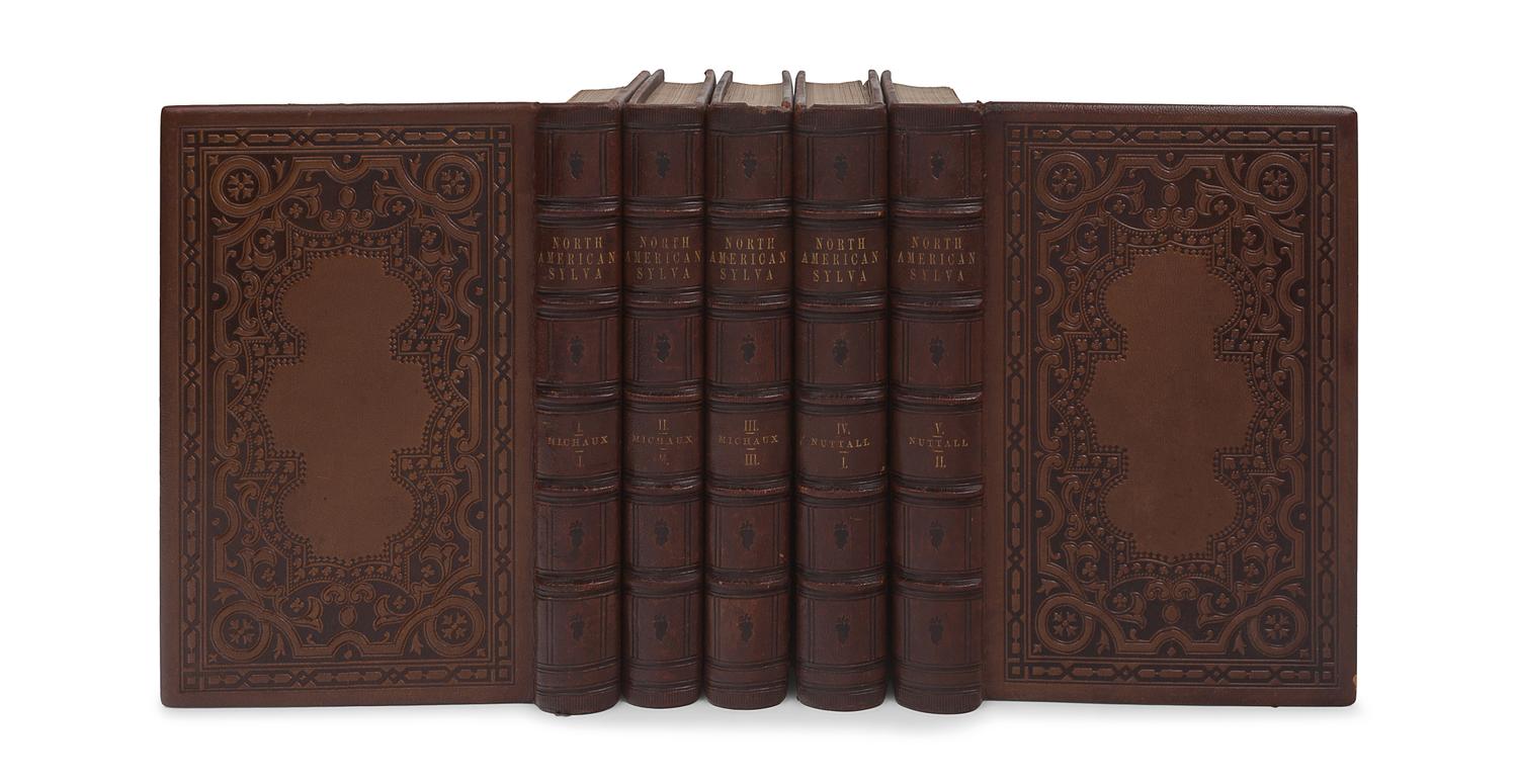 MICHAUX, François-André (1770-1855). -- NUTTALL, Thomas (1786-1859). The North American Sylva; or, A Description of the Forest Trees of the United States, Canada, and Nova Scotia . Philadelphia: D. Rice & A.N. Hart, 1859.