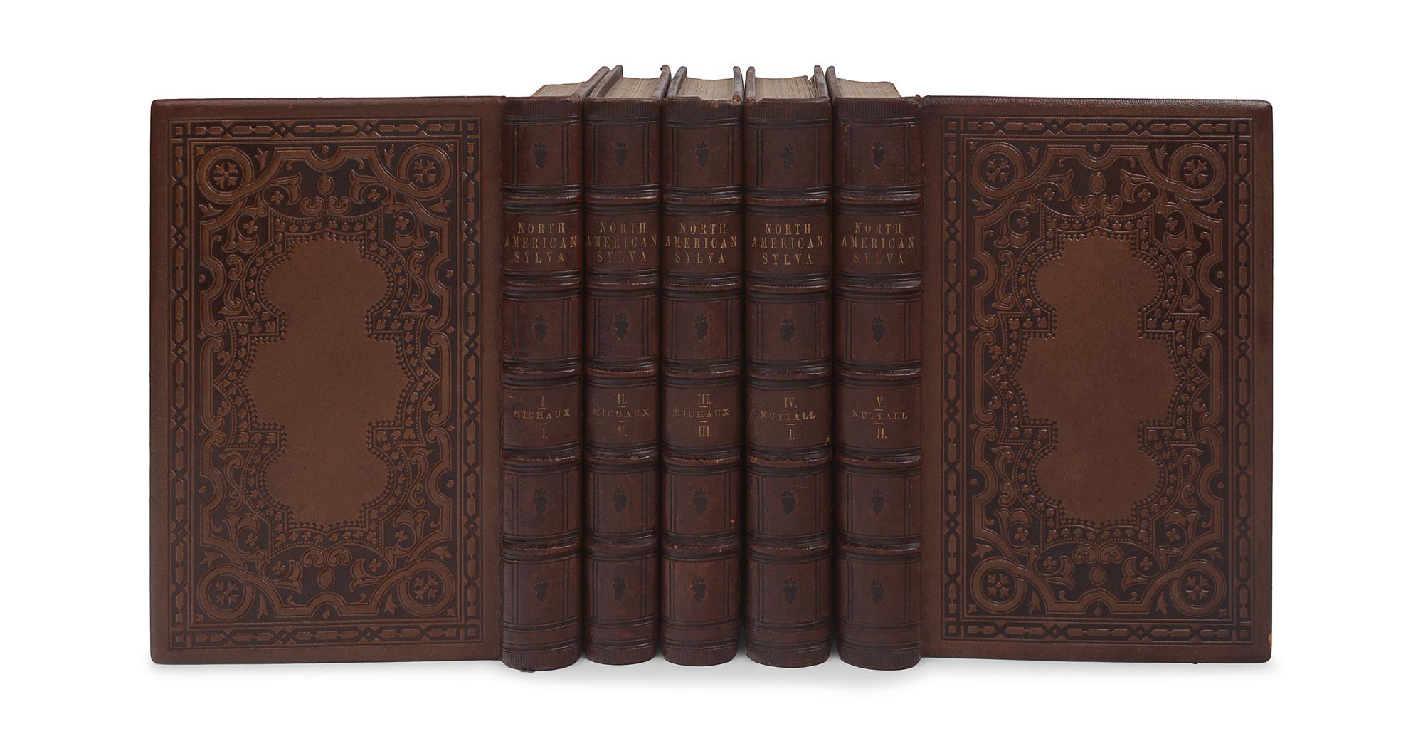 MICHAUX, François-André (1770-1855). -- NUTTALL, Thomas (1786-1859). The North American Sylva; or, A Description of the Forest Trees of the United States, Canada, and Nova Scotia . Philadelphia: D. Rice & A.N. Hart, 1859.