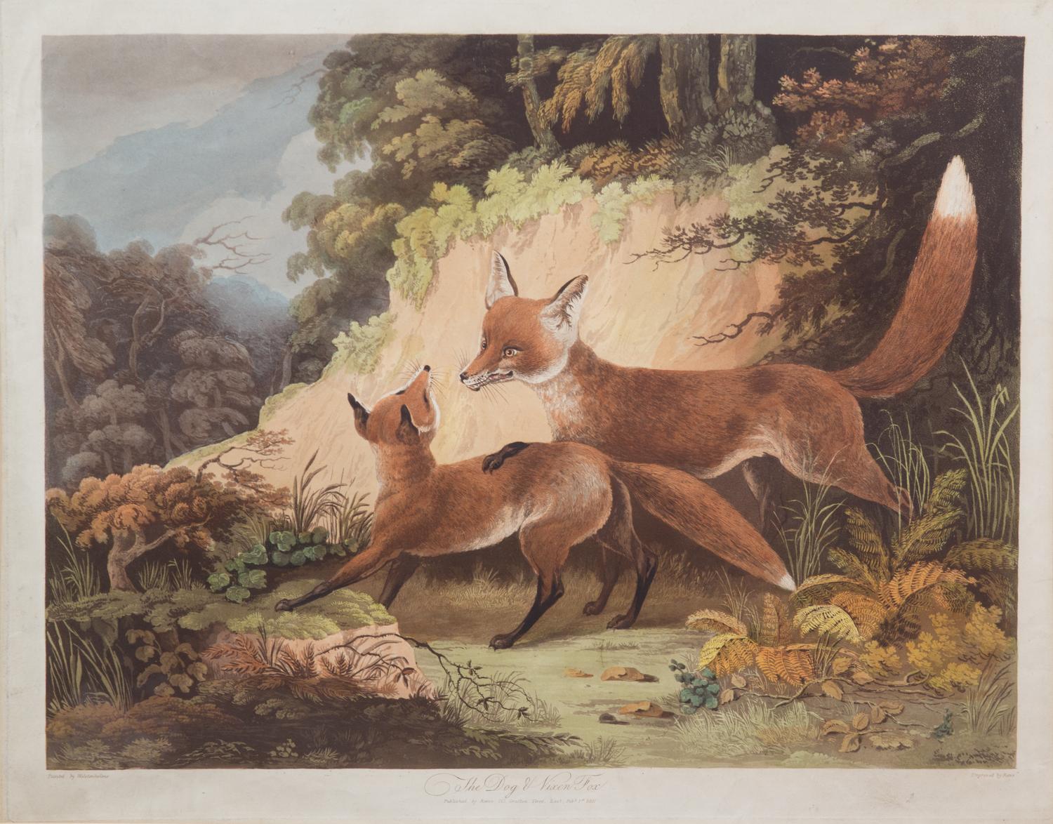 Dean WOLSTENHOLME, after - REEVE, engraver Image 17 1/4 x 23 inches. — Dog and Vixen Fox