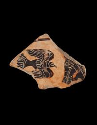 A Fragment from a Greek Black-Figured Cup