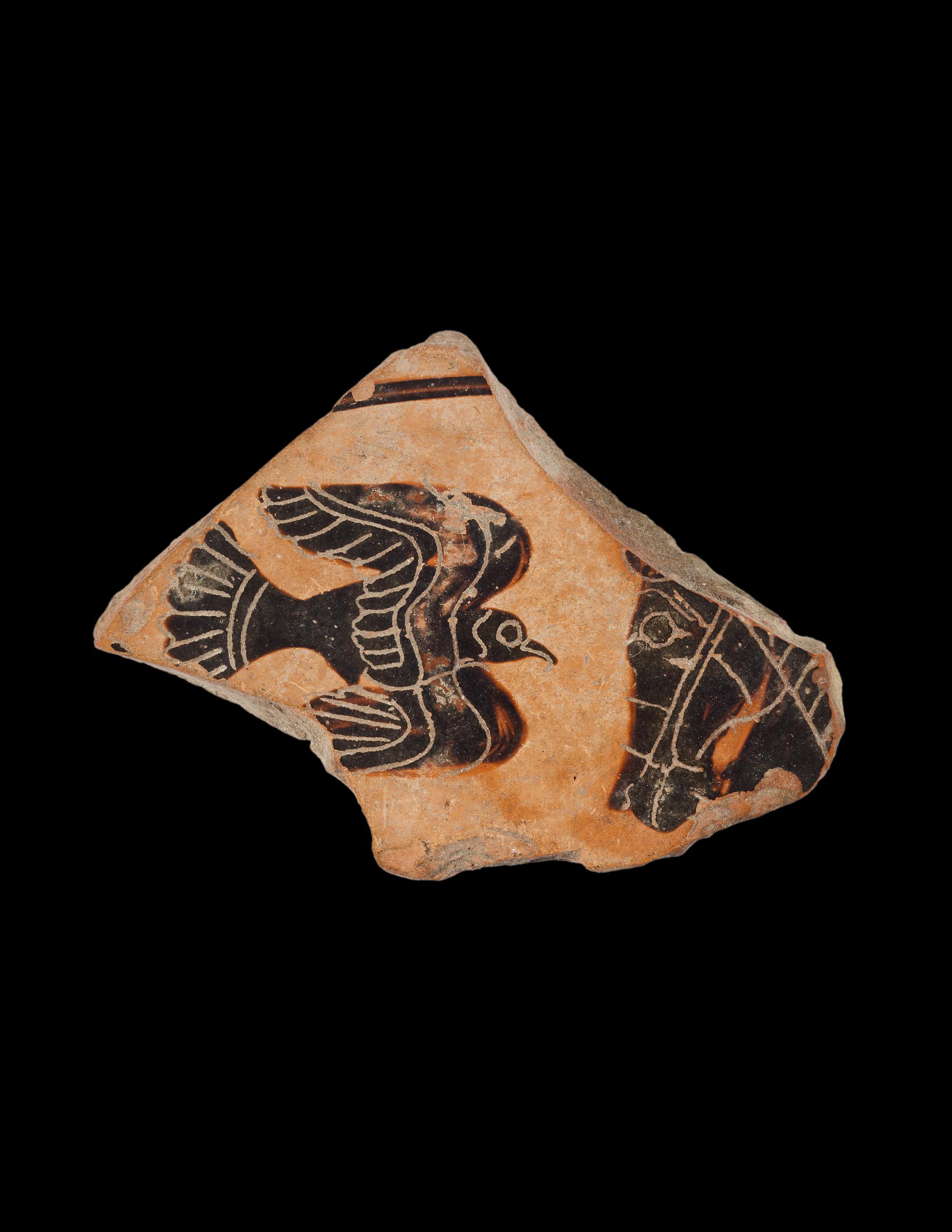 A Fragment from a Greek Black-Figured Cup