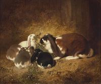 Rabbits in a Stable , 1851
