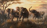 Last Night on the Okavango
