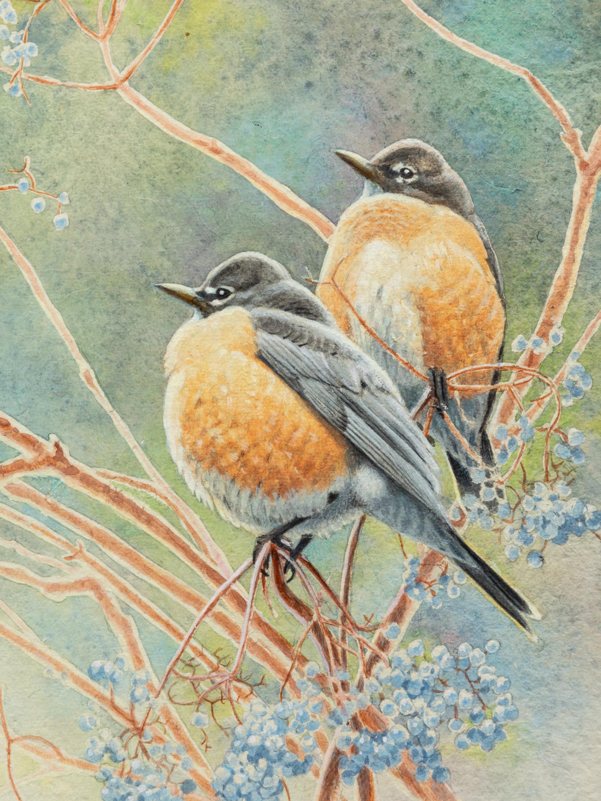 American Robin on Elderberry , 1995
