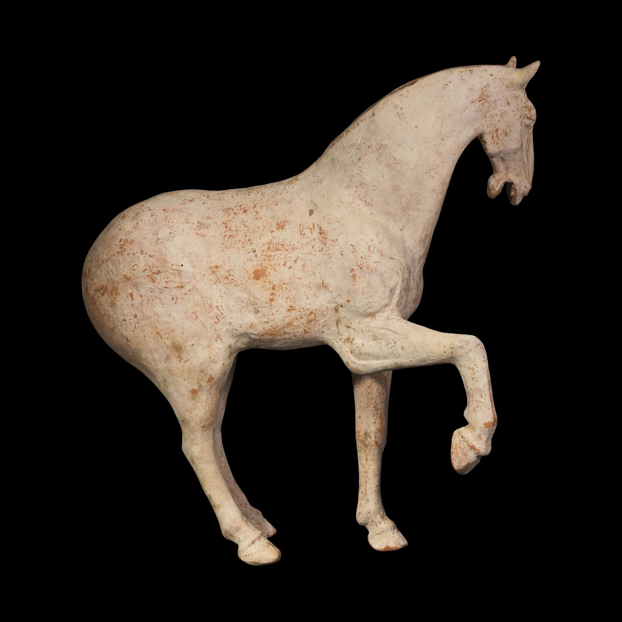 A Large Chinese Pottery Figure of a Prancing Horse, Tang Dynasty — 唐 白陶馬