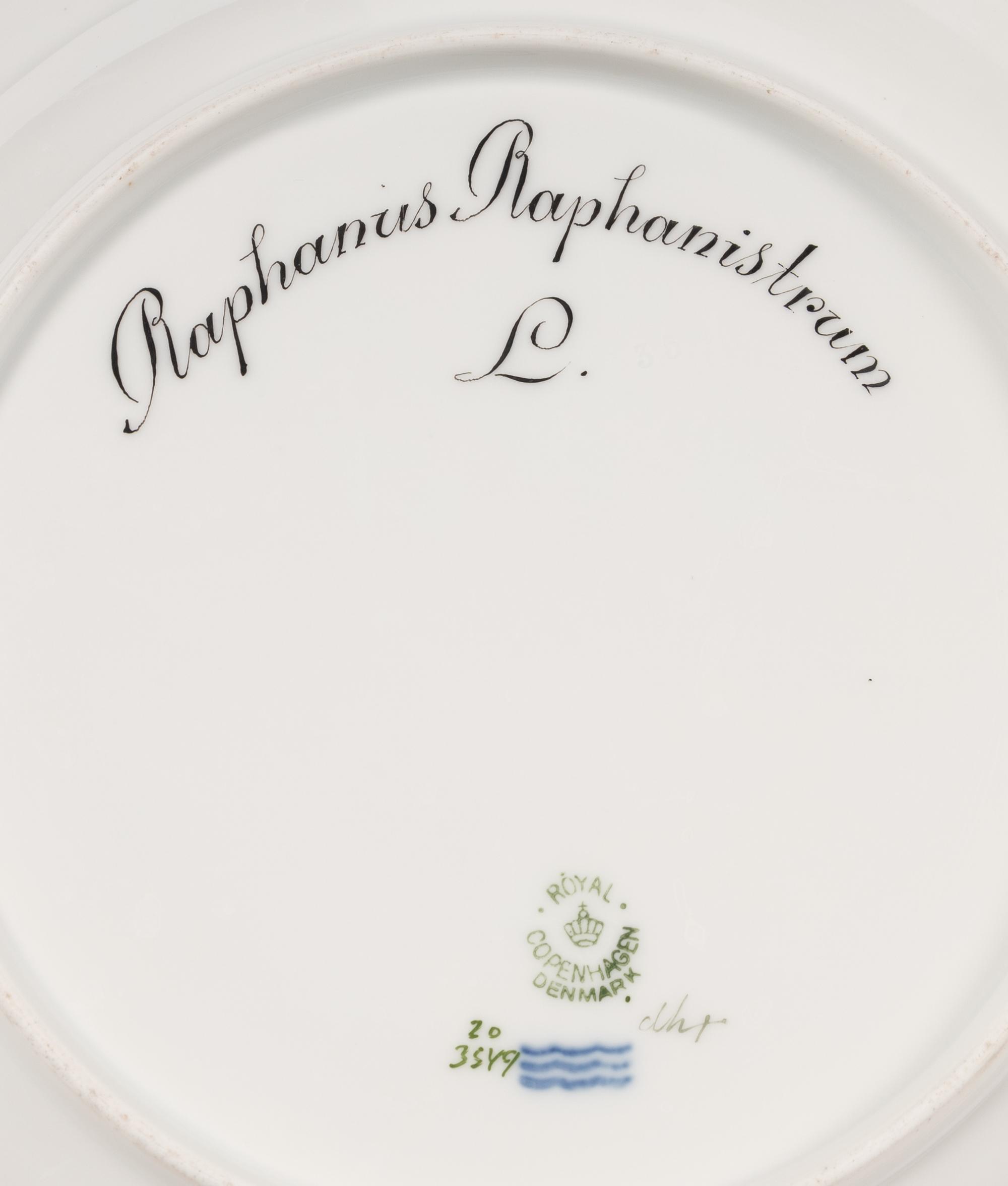 A Set of Twelve Royal Copenhagen Porcelain Flora Danica Dinner Plates