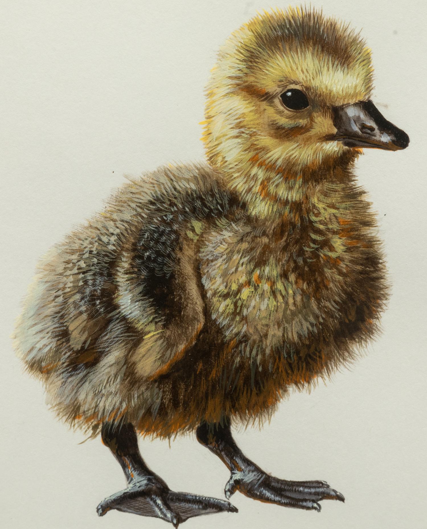 Gosling Study ,1994