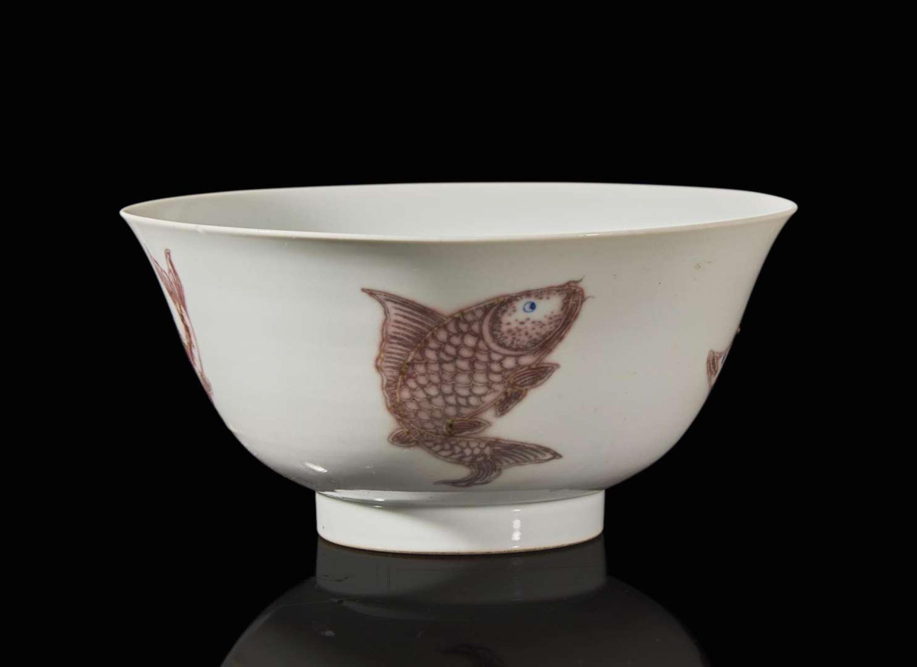 A Chinese underglaze red and blue-decorated "Fishes" bowl, Kangxi period 青花釉裡紅盌 清 康熙