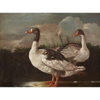 CENTRAL ITALIAN SCHOOL (17TH CENTURY) "TWO PROUD GEESE"