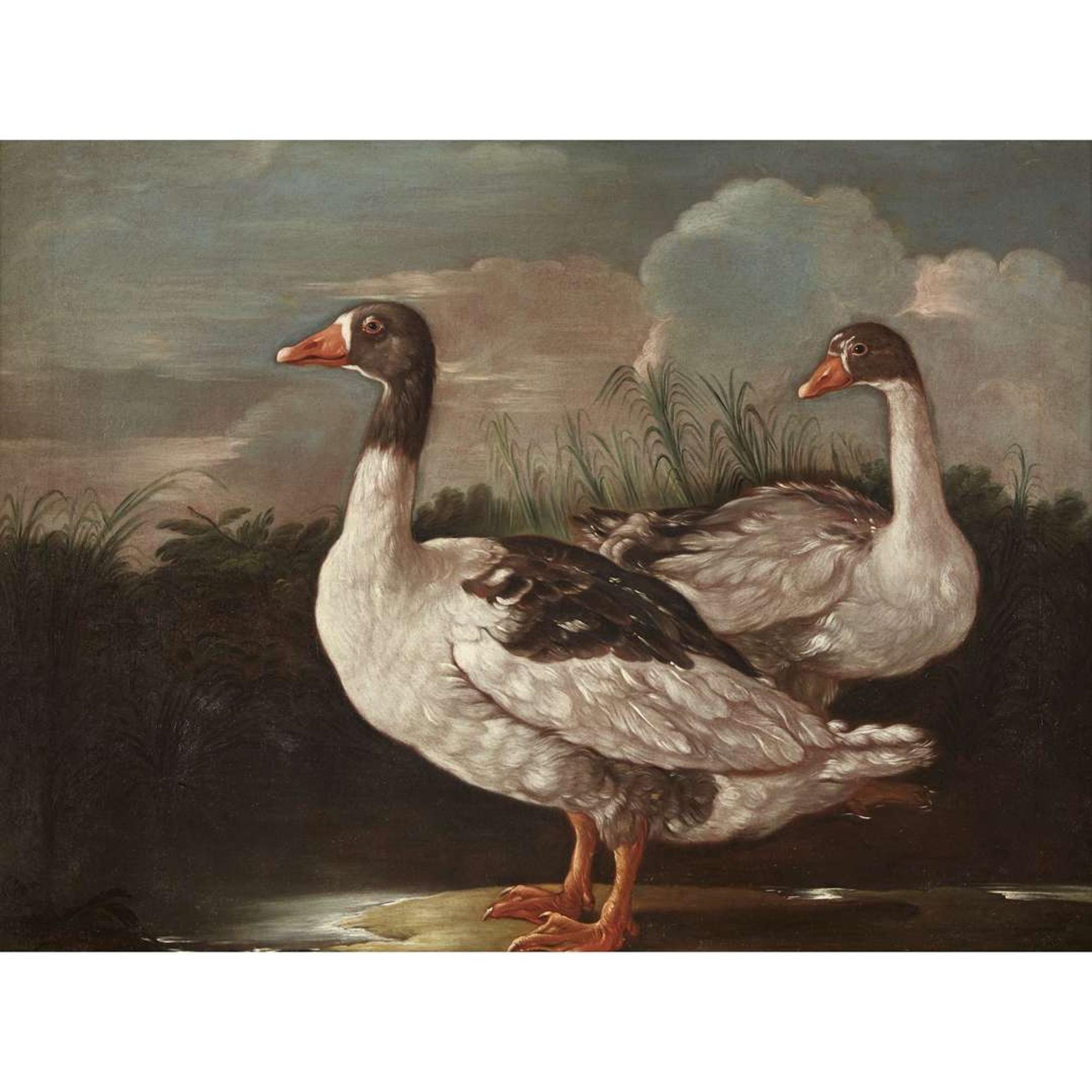 CENTRAL ITALIAN SCHOOL (17TH CENTURY) "TWO PROUD GEESE"