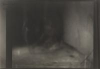 Untitled (2.5.89-7.5.89) (a group of six works), 1989