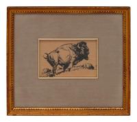 Buffalo