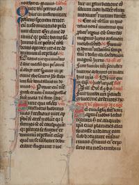 [MANUSCRIPT LEAVES -- BIBLES]. A group of 3 manuscript leaves on vellum, matted together, comprising: