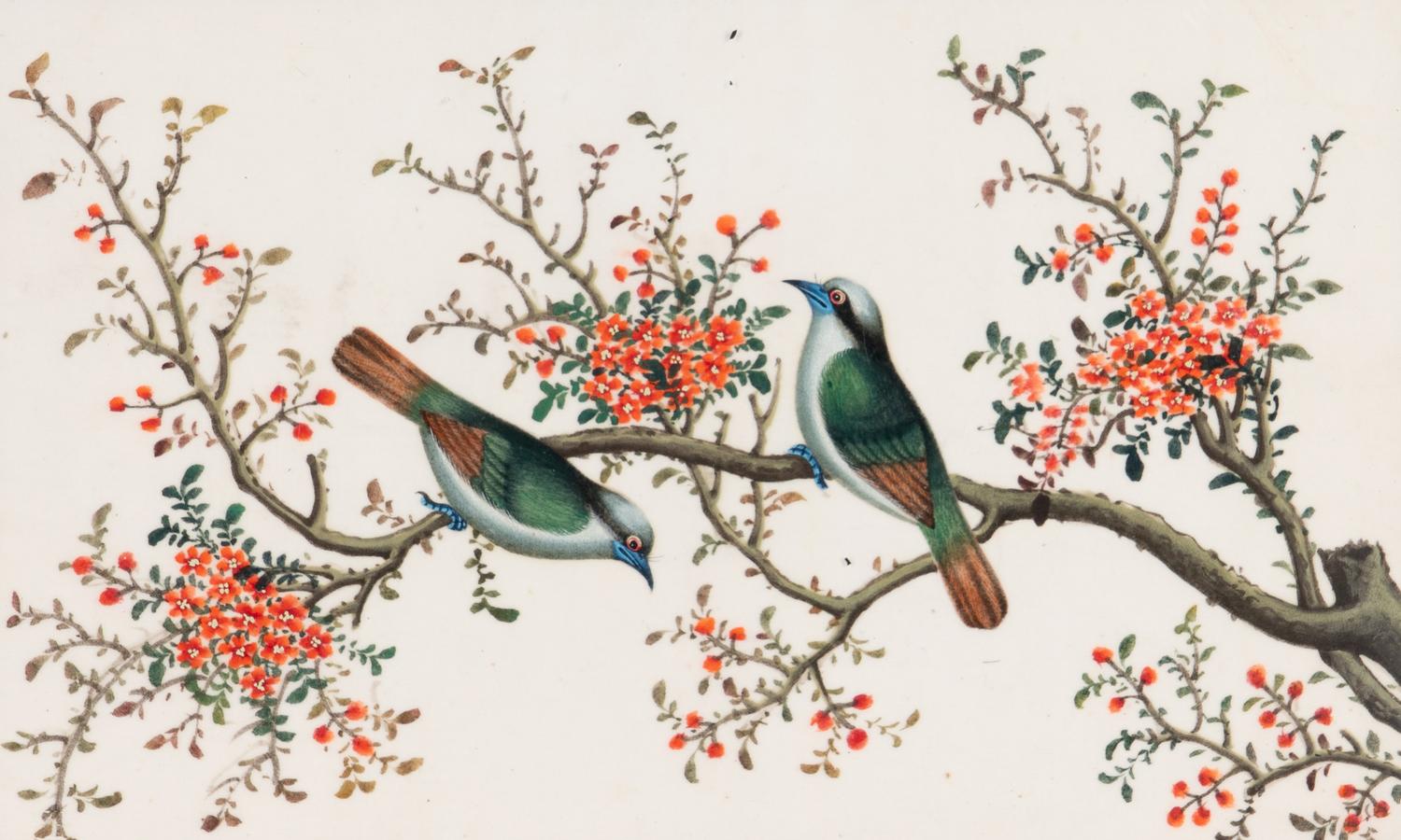 A Set of Twelve Chinese Export Watercolor and Pith Paintings of Exotic Birds