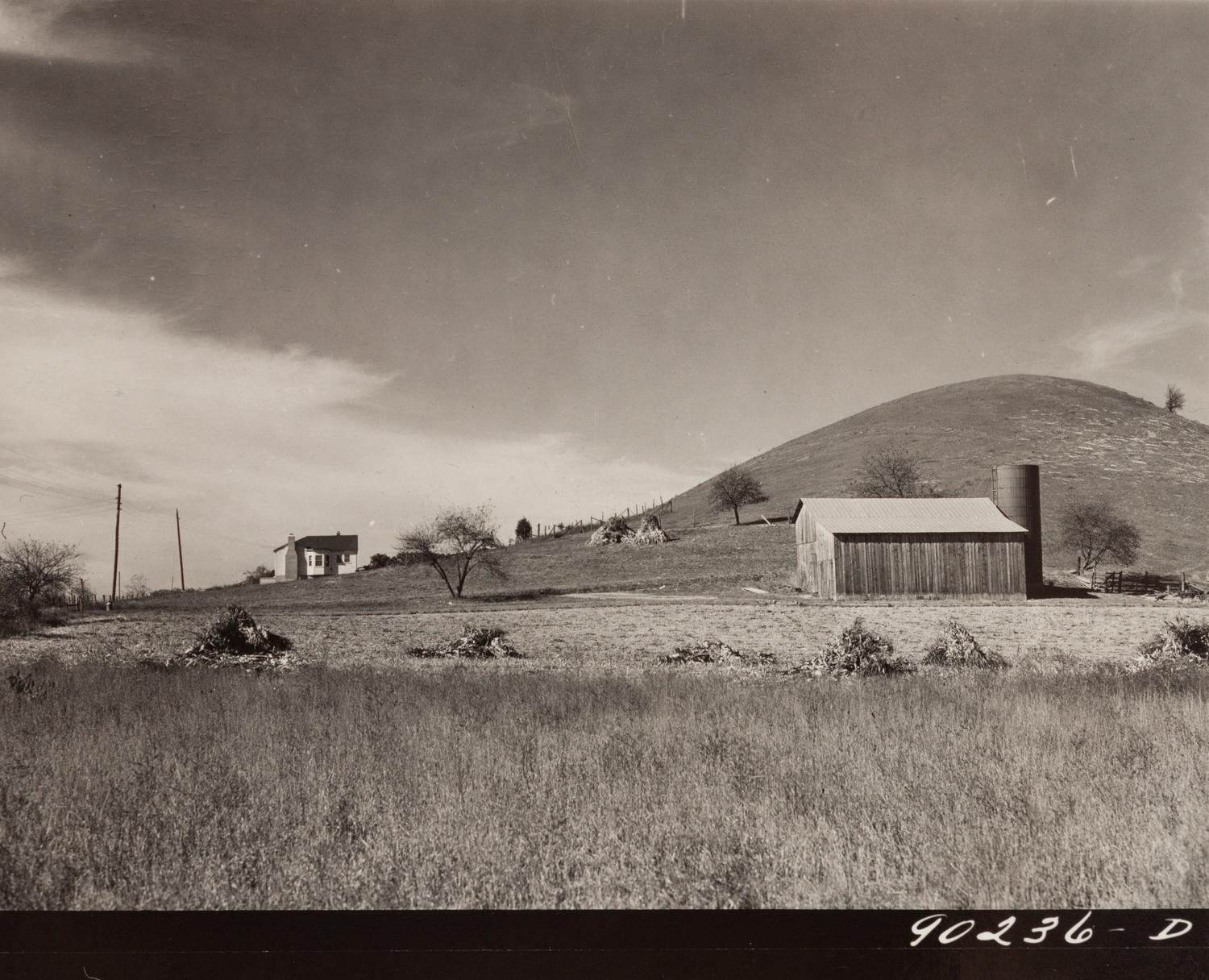 A group of five photographs ( Parishoners Peeling Tomatoes, Bardstown, KY, 1940; Breathitt County, KY, 1940; Radford, VA Farm, 1941; Riner, VA , 1941; Cattle Guard, 1941)